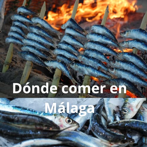 Dónde comer en Málaga